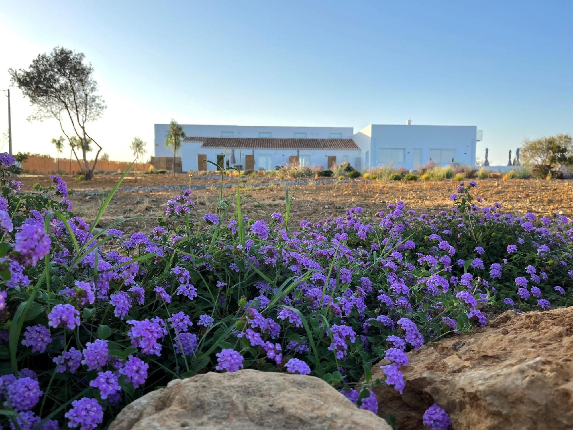 Villa Lobos Tavira Exterior photo